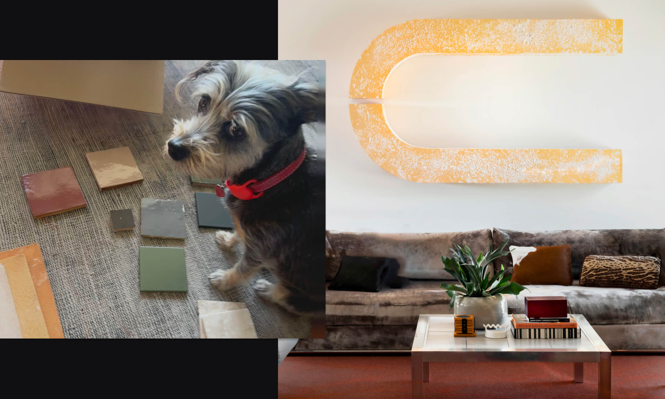 A collage of two images, the first showing Mat Sanders’s dog with different materials and the second showing an arch he transformed into a piece of wall art.