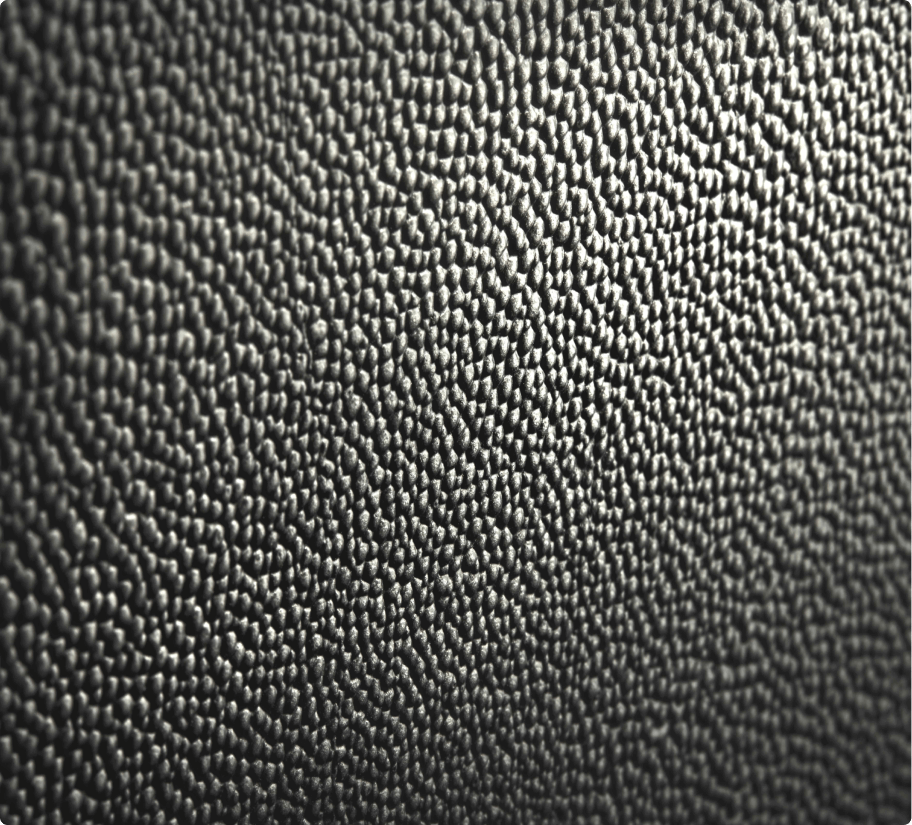 A close-up of the texture of a Caviar Leather Panel.