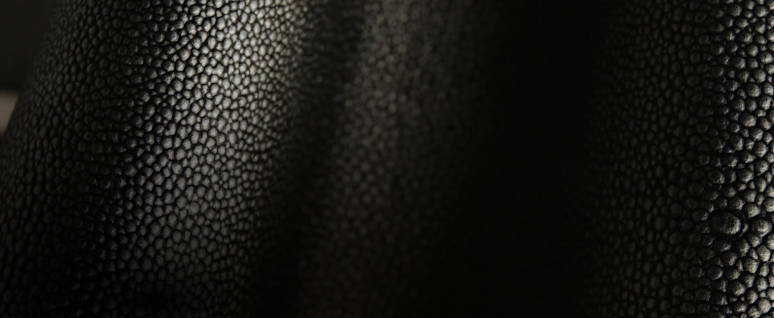 A close-up view of the texture of the black Caviar leather.