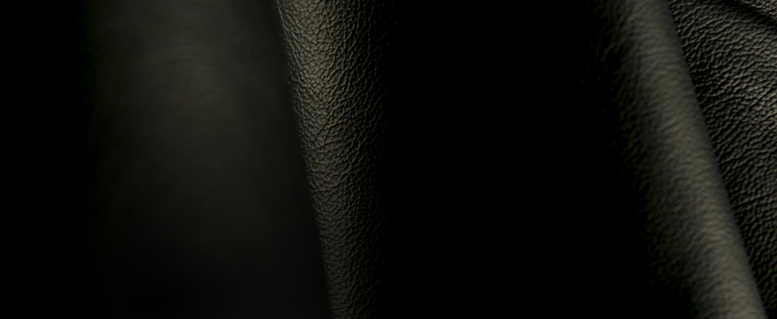A close-up view of the texture of the dark black Carbon leather.