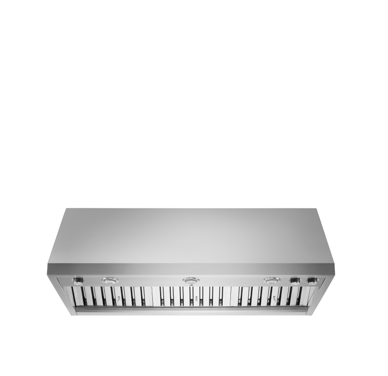 A 48" Pro Wall-Mount Hood.