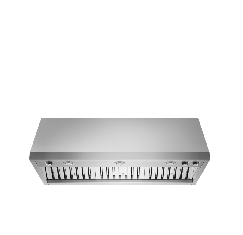 A 48" Pro Wall-Mount Hood.