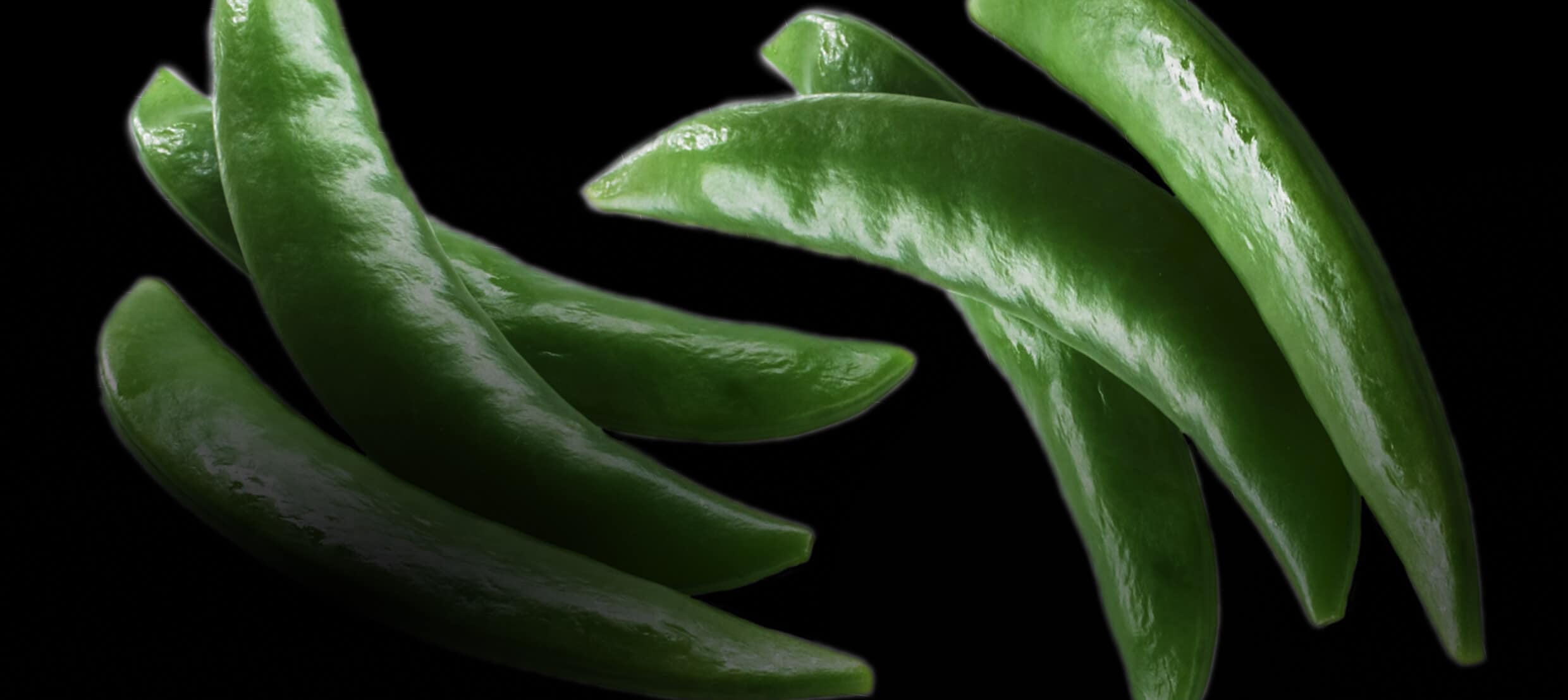  A series of steamed pea pods.