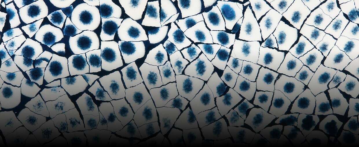 A close up of the texture of Eggshell Snakeskin Sapphire