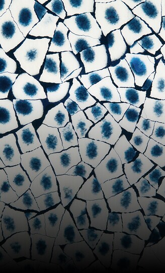A close up of the texture of Eggshell Snakeskin Sapphire