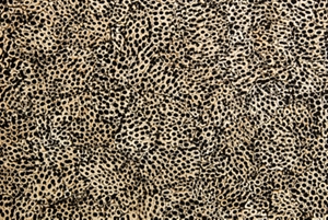 Eggshell Snakeskin Black