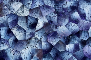 Mussel Shell Blue