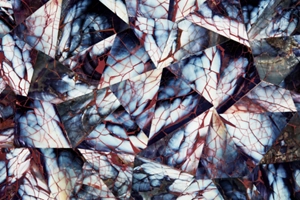 Mussel Shell Burgundy