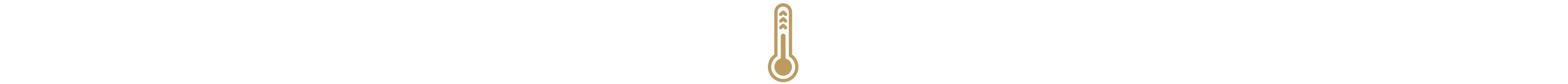 Temperature icon