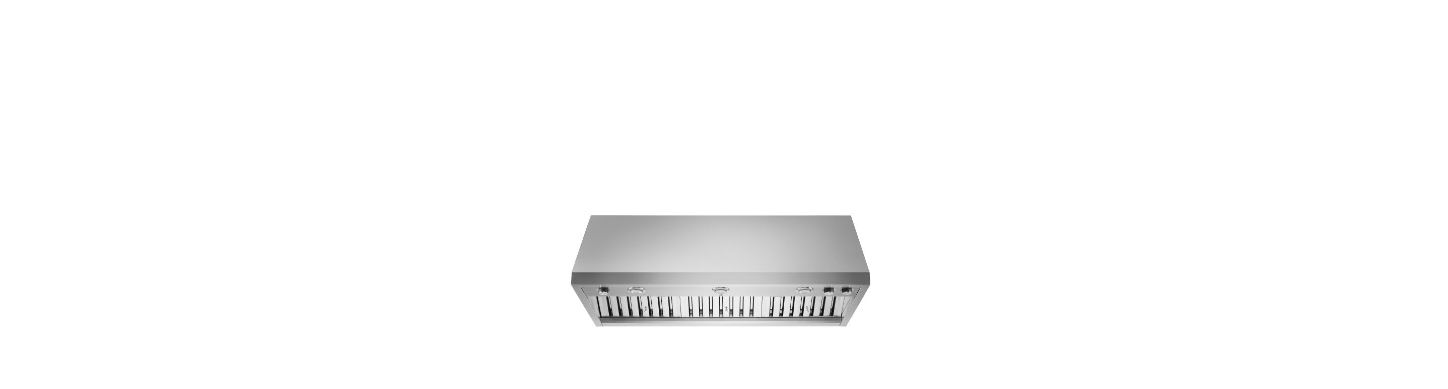 A 48" Pro Wall-Mount Hood.