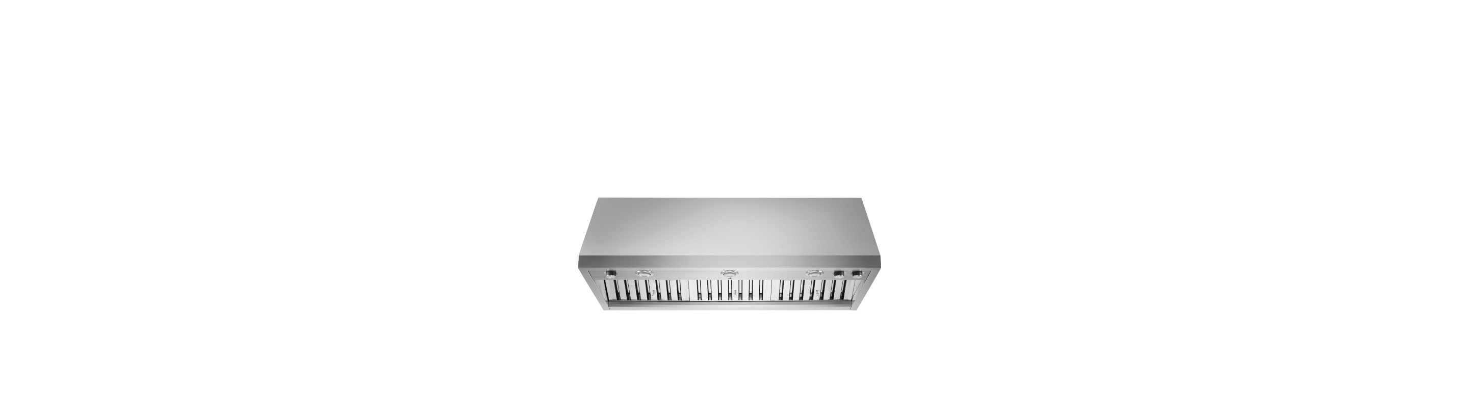 A 48" Pro Wall-Mount Hood.