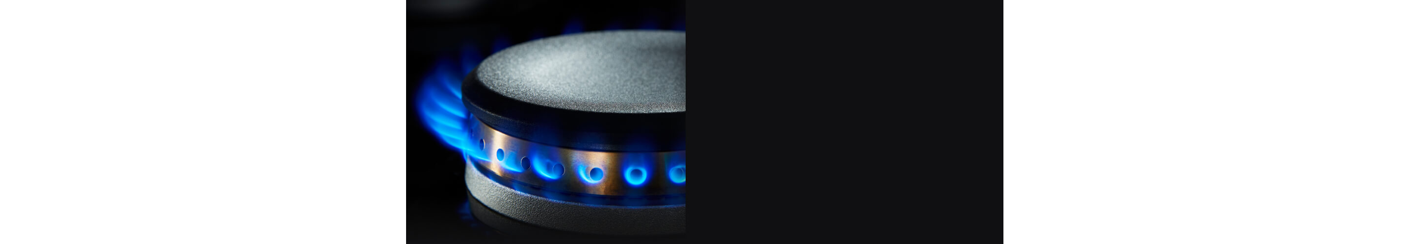 Closeup of the flames on a PowerBurner.