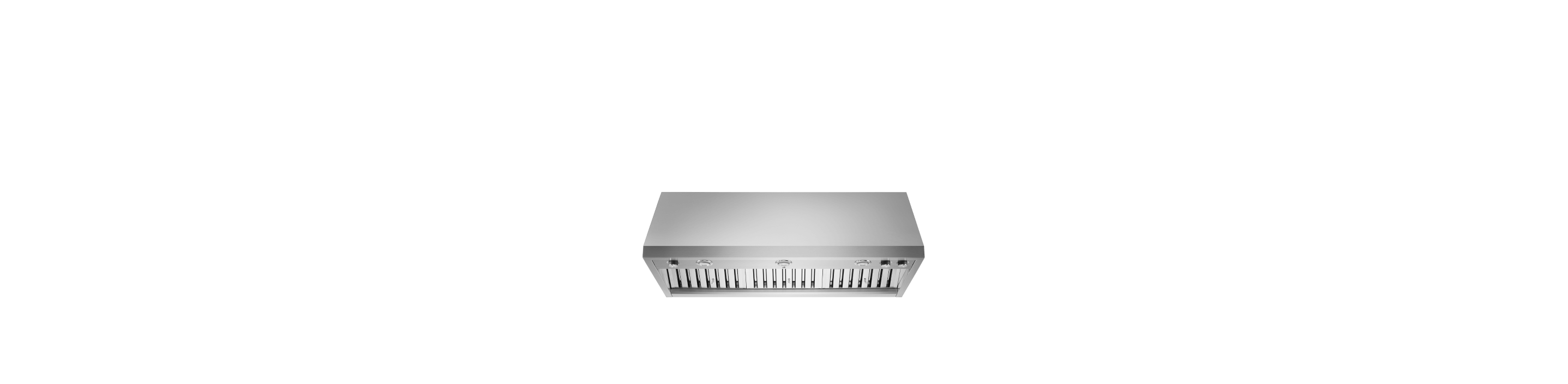 A 48" Pro Wall-Mount Hood .