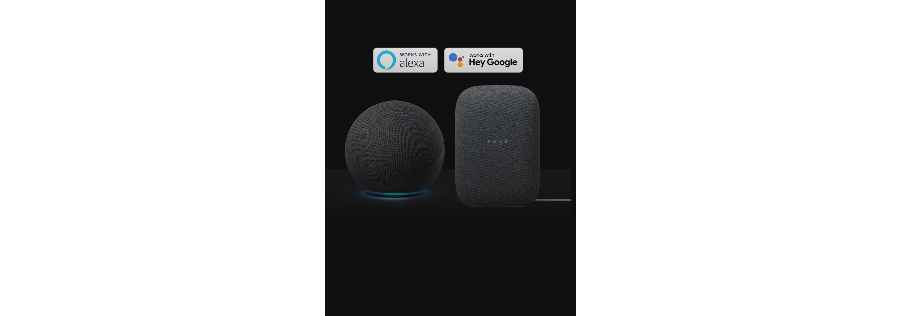 An Alexa-enabled device and a Google Assistant-enabled device on a black background.