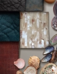 A moodboard full of shells and other textures.