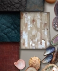 A moodboard full of shells and other textures.