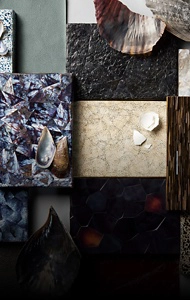 A moodboard made up of shells and leather.
