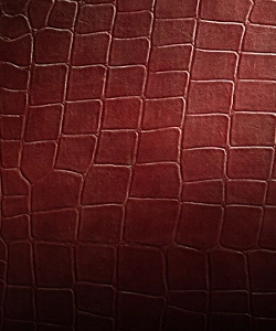 A close up of the Croc leather texture and color.