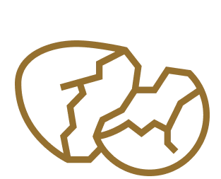 An icon of a broken eggshell.