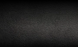 A close up of the Caviar leather texture and color.