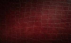 A close up of the Croc leather texture and color.