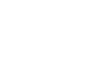 An icon depicting a door swinging left.