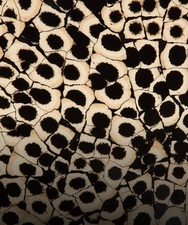 A yellow, black and beige snakeskin pattern made out of eggshell, called Eggshell Snakeskin Black.