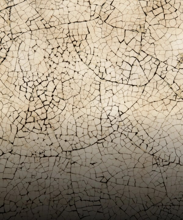 A beige and black crackled pattern made out of eggshell, called Eggshell Crackle Taupe.