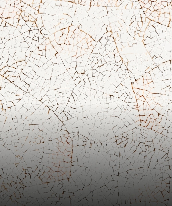 A light beige and brown crackled pattern made out of eggshell, called Eggshell Crackle Sepia.