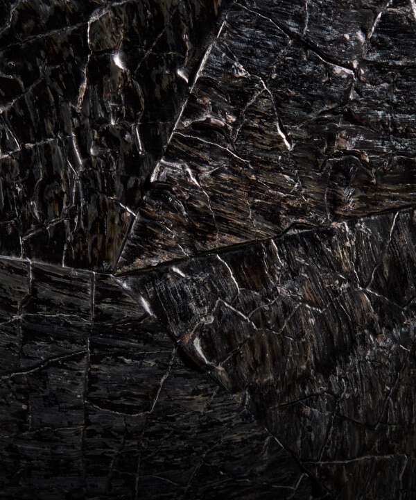 A black volcanic texture pattern made out of dark Pen Shell, called Dark Pen Black.