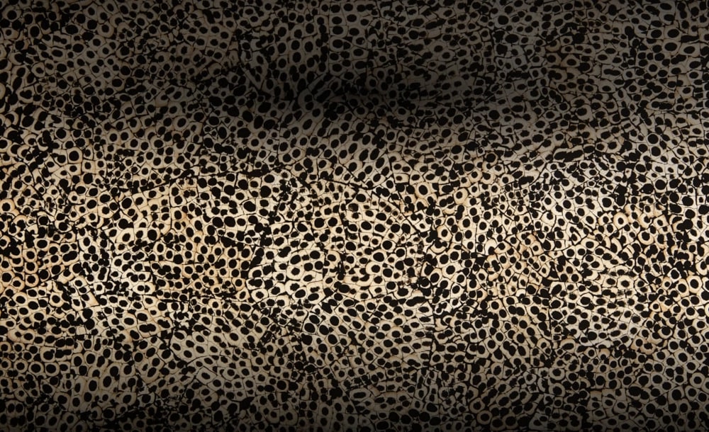 A close up of the Eggshell Snakeskin Black