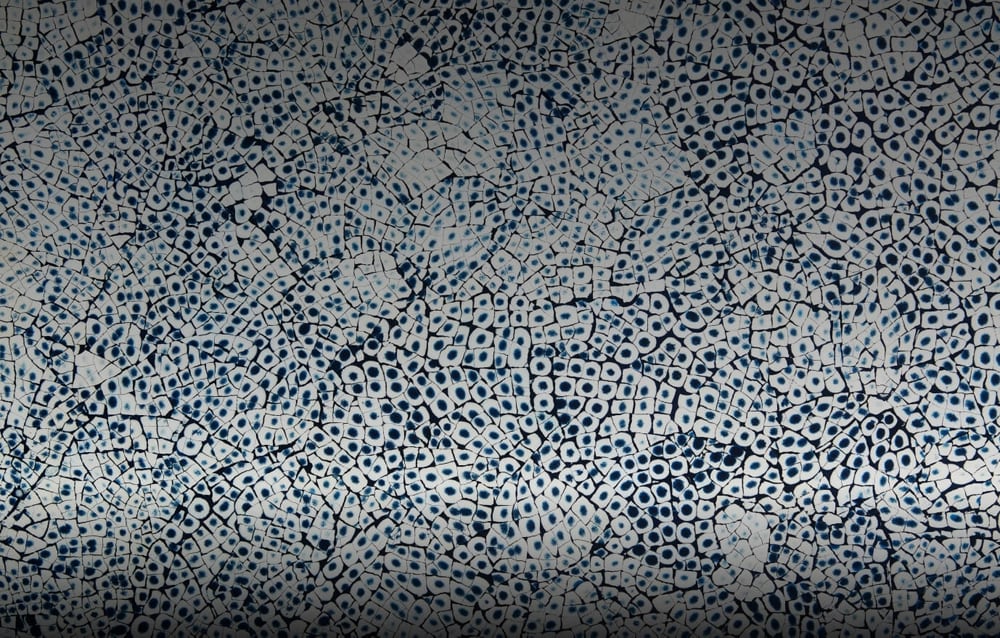 A close up of the Eggshell Snakeskin Sapphire