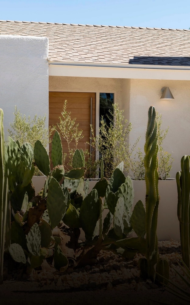 Cactuses growing outside the exterior of Mat Sanders' Palm Springs home.