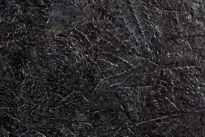 Refrigerator and Wine Column Panels - Elements Collection