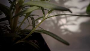 230653kr-revlon-refer-product-overview-video-with-vo-olv-60sec-16x9-tm.mp4